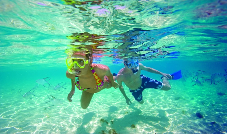 solo snorkeling Cozumel
