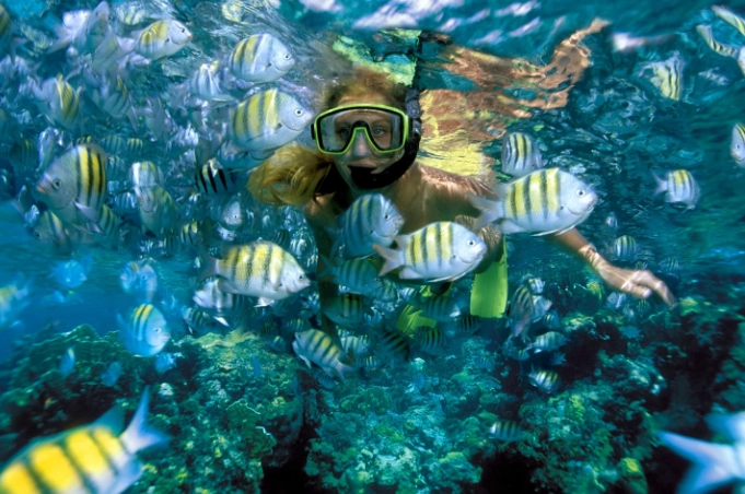 Cozumel snorkeling tips Cozumel snorkeling tips
