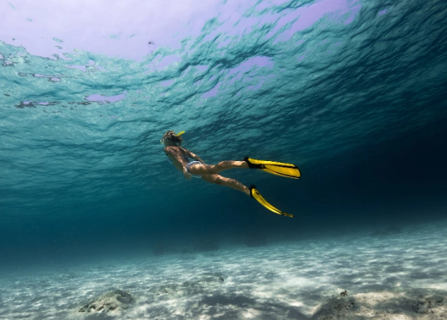 shore snorkeling cozumel
