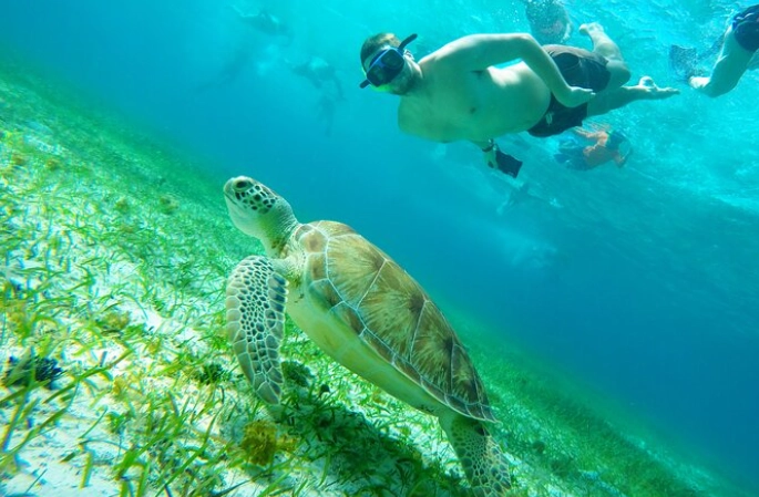Cozumel snorkeling tips Cozumel snorkeling tips