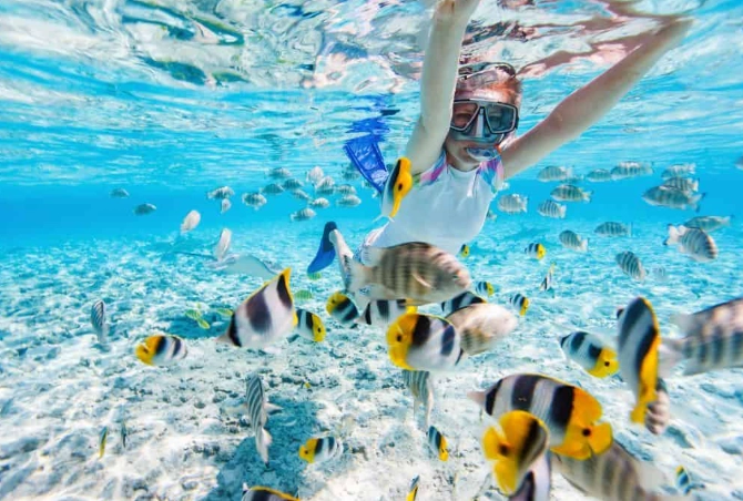 Cozumel snorkeling spots