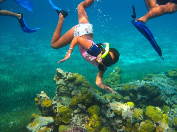 best snorkeling Cozumel