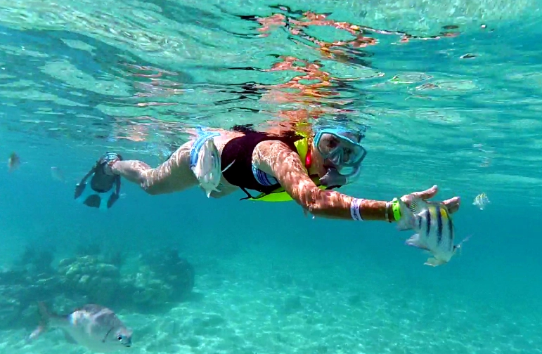 Roatan snorkel spots Roatan snorkel spots