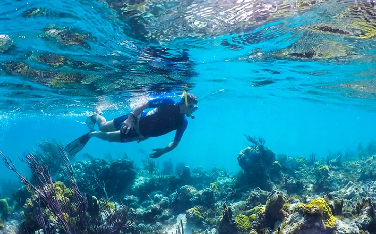 best snorkeling beaches in Turks and Caicos