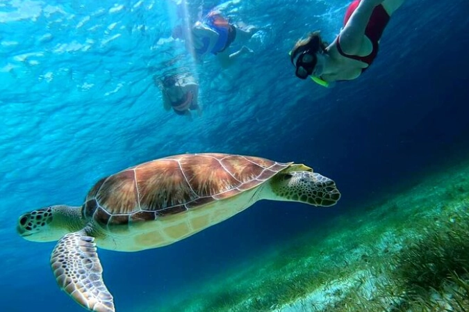 where to snorkel for free Cozumel where to snorkel for free Cozumel