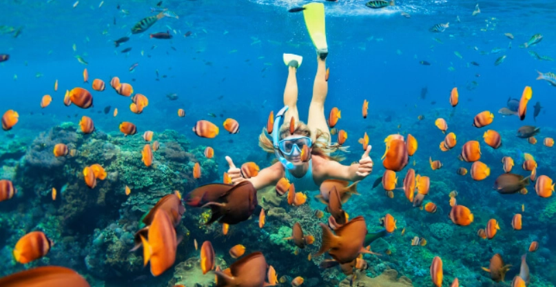 Jamaica snorkel tours Jamaica snorkel tours