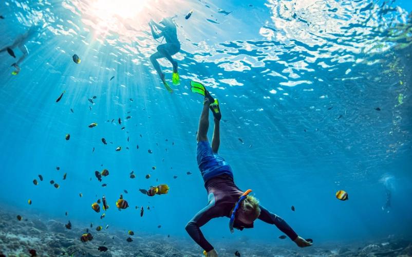 Doctor's Cave Beach Doctor's Cave Beach