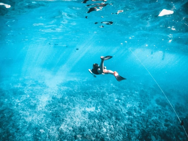 shore snorkeling cozumel