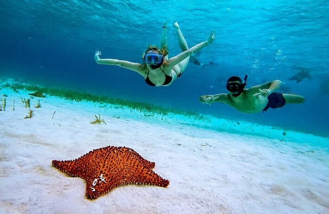 snorkeling tours Cozumel