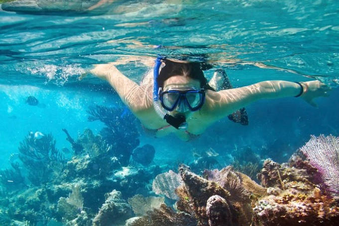 independent snorkeling Cozumel