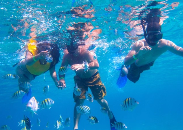 snorkeling Cozumel worth it