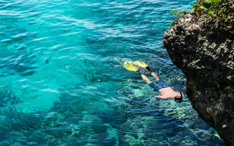best snorkeling in Jamaica best snorkeling in Jamaica