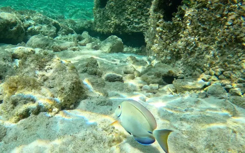 where to snorkel in Turks and Caicos