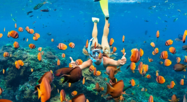 Doctor's Cave Beach Doctor's Cave Beach