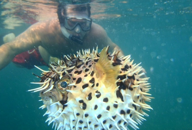 Tamarindo snorkeling spots