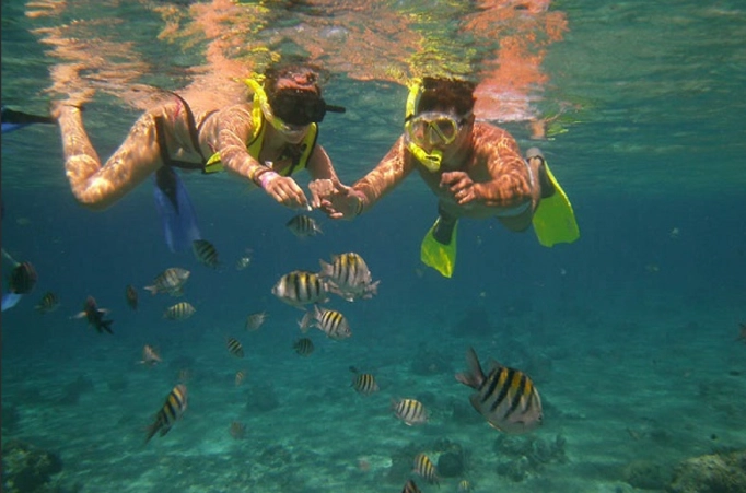 Tamarindo snorkeling spots