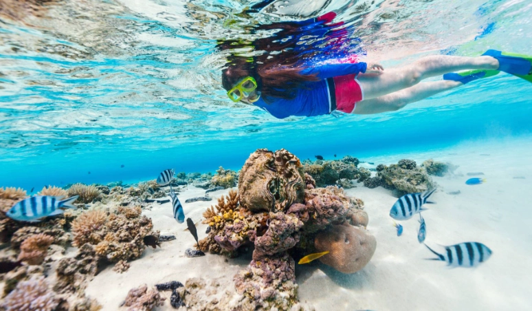 snorkeling costa rica snorkeling costa rica