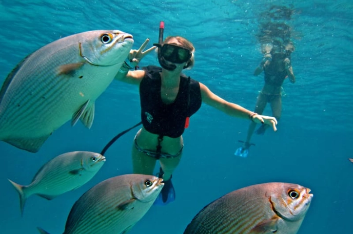 DIY snorkeling Cozumel