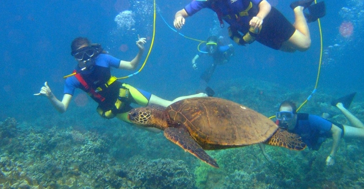 free snorkeling costa rica free snorkeling costa rica
