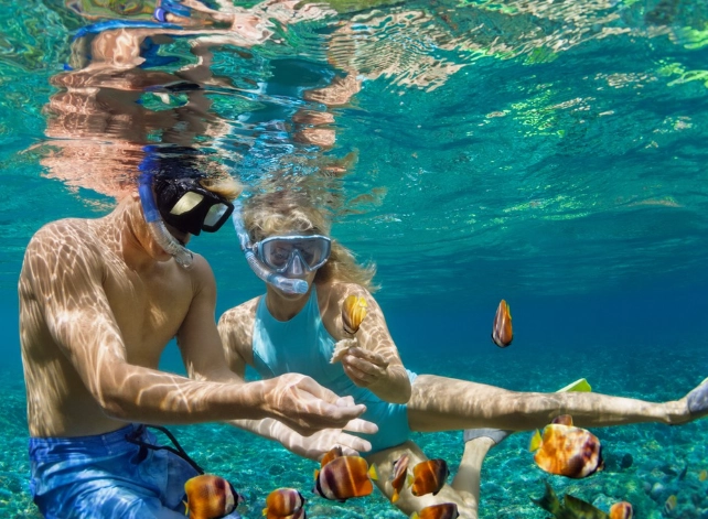 DIY snorkeling Cozumel