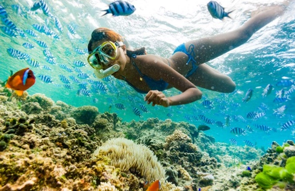 Fiji snorkeling tours