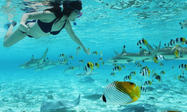 cheap snorkeling Bora Bora
