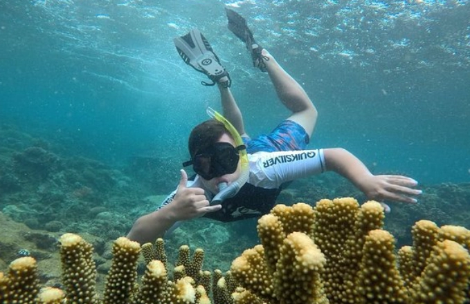 Fiji dry season snorkeling