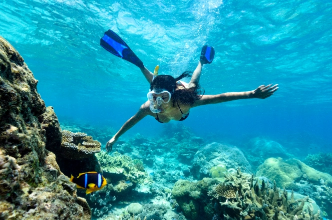 Fiji snorkeling season
