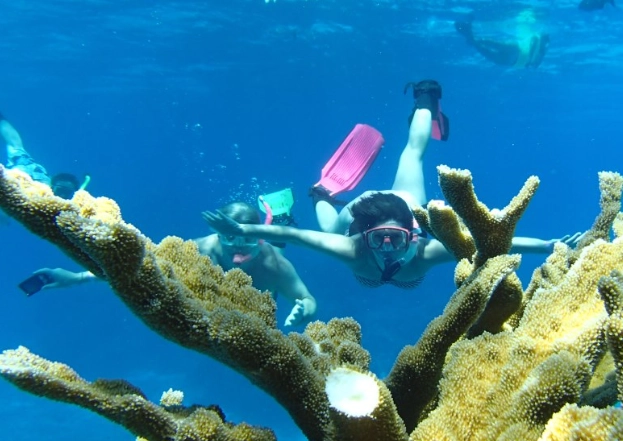 Palancar Reef snorkeling