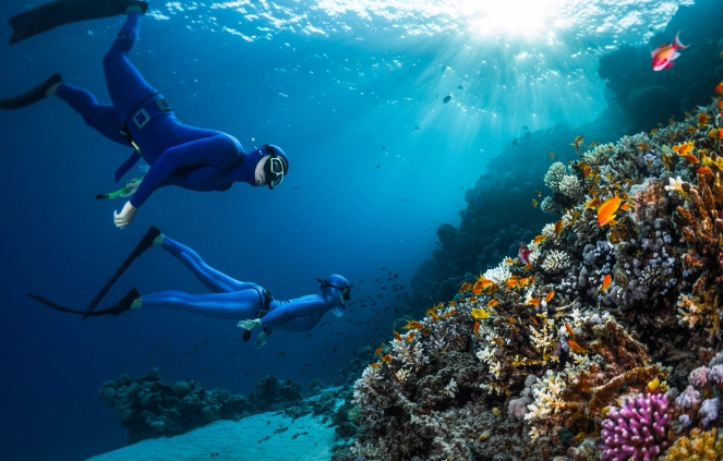 snorkeling spots Red Sea