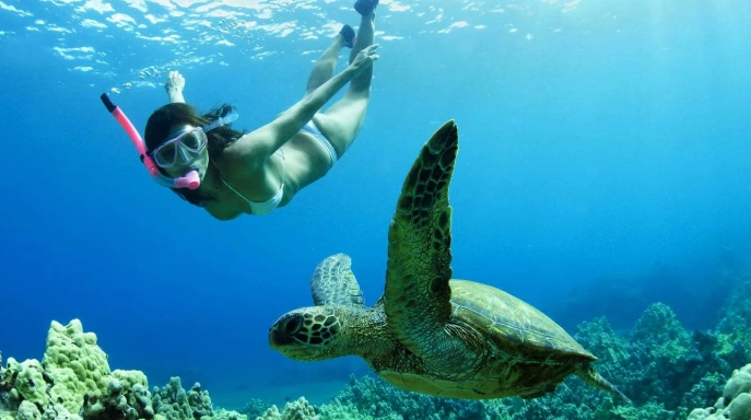 best snorkeling spots Cayman
