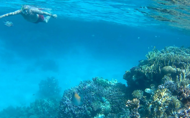 best snorkeling in Egypt