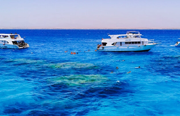 best snorkeling in Egypt