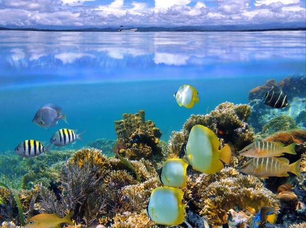 Costa Rica snorkeling spots