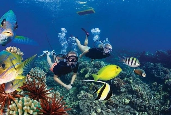 Egypt snorkeling tours