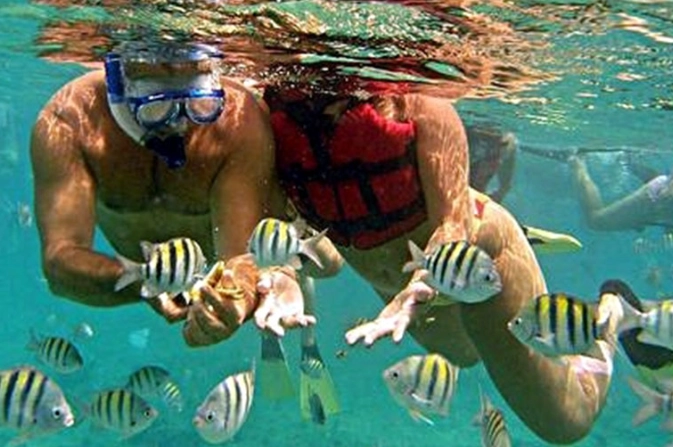 Free snorkeling in roatan
