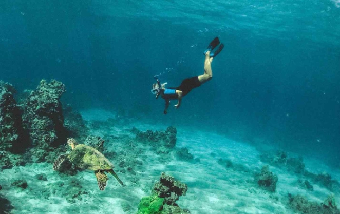 free snorkeling roatan free snorkeling roatan