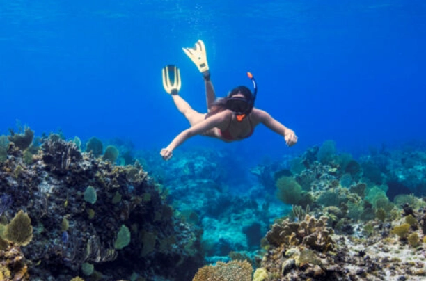 turks and caicos snorkeling spots