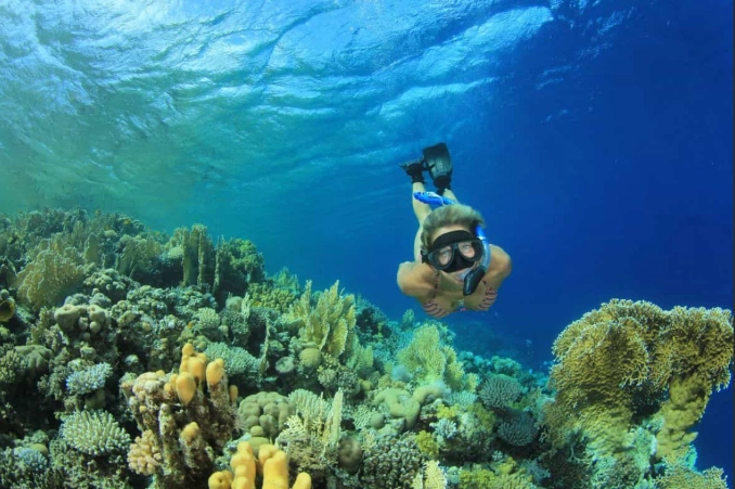 Egypt snorkeling spots
