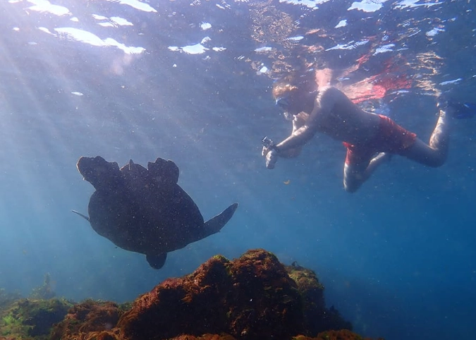 snorkel Galapagos water temperature snorkel Galapagos water temperature