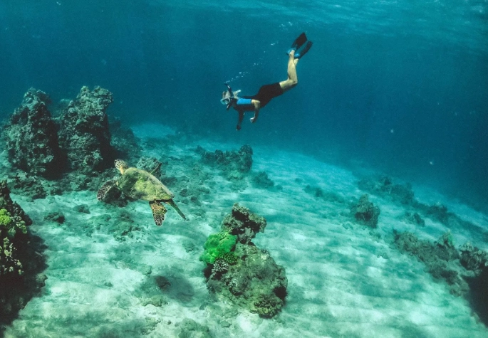 Belize snorkeling