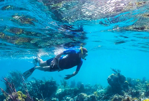 Best snorkeling in turks and caicos