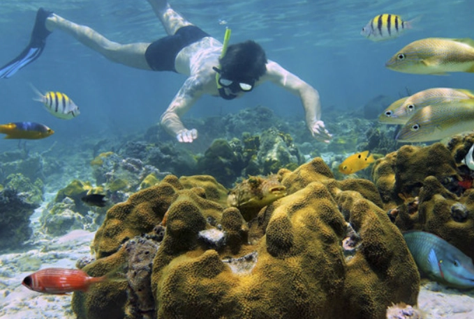Belize snorkeling