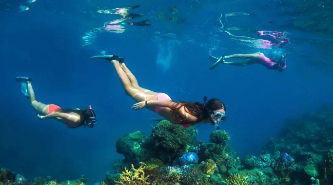 best snorkeling Fiji Nadi best snorkeling Fiji Nadi
