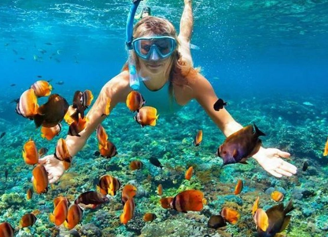 best time to snorkel in Galapagos best time to snorkel in Galapagos