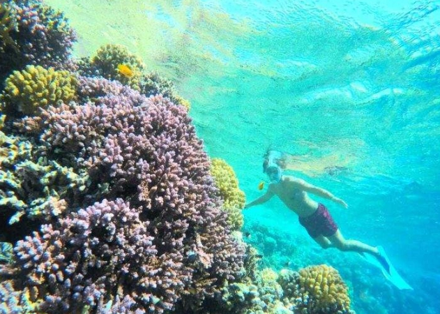 snorkeling tours Hurghada