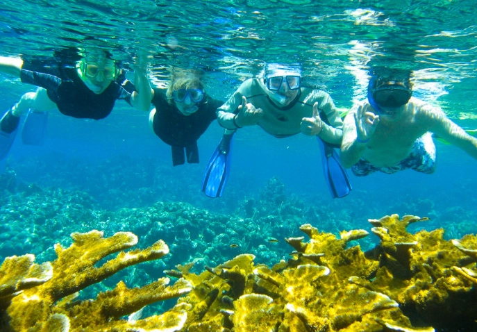 free snorkeling roatan free snorkeling roatan