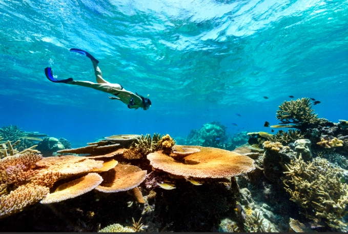 Fiji snorkeling near port