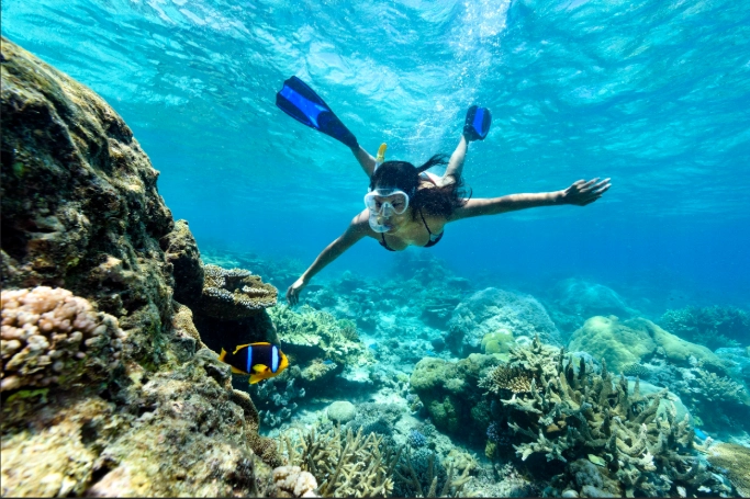 Denarau snorkeling trips