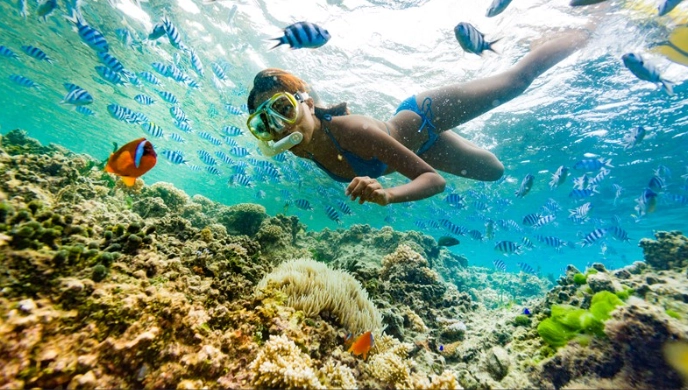 Fiji Nadi coral reefs Fiji Nadi coral reefs